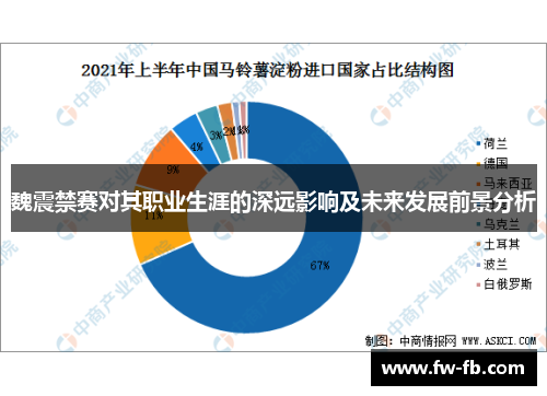 魏震禁赛对其职业生涯的深远影响及未来发展前景分析 魏震禁赛对其职业生涯的深远影响及未来发展前景分析