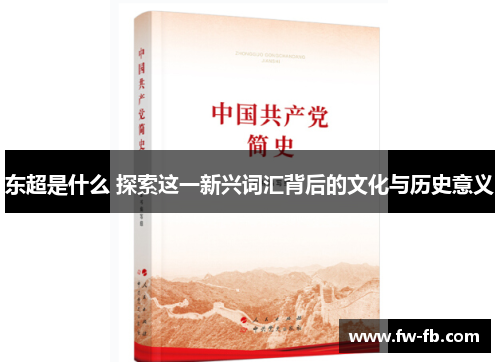 东超是什么 探索这一新兴词汇背后的文化与历史意义