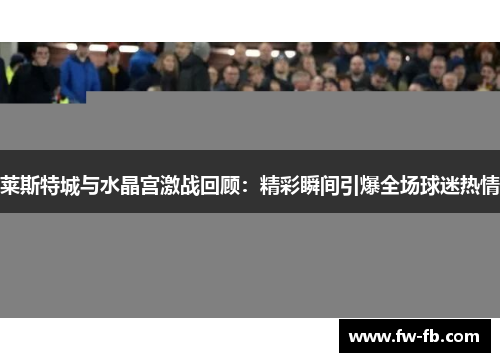 莱斯特城与水晶宫激战回顾：精彩瞬间引爆全场球迷热情