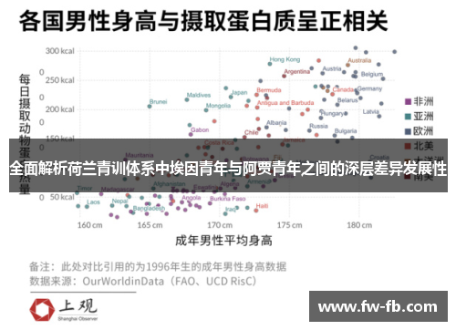 全面解析荷兰青训体系中埃因青年与阿贾青年之间的深层差异发展性