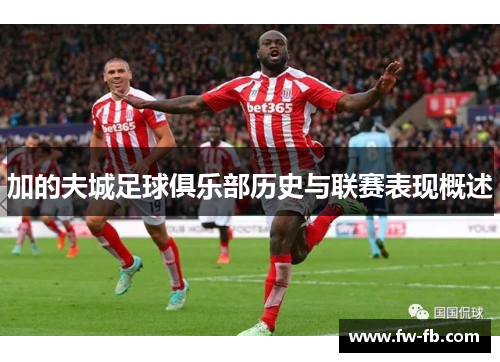 加的夫城足球俱乐部历史与联赛表现概述