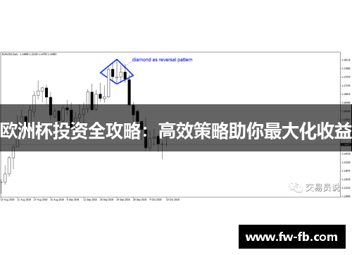 欧洲杯投资全攻略：高效策略助你最大化收益