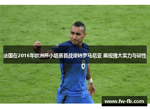 法国在2016年欧洲杯小组赛首战逆转罗马尼亚 展现强大实力与韧性 法国在2016年欧洲杯小组赛首战逆转罗马尼亚 展现强大实力与韧性