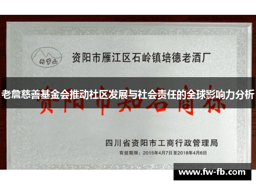 老詹慈善基金会推动社区发展与社会责任的全球影响力分析