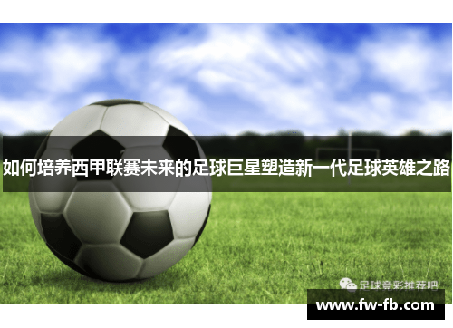 如何培养西甲联赛未来的足球巨星塑造新一代足球英雄之路 如何培养西甲联赛未来的足球巨星塑造新一代足球英雄之路