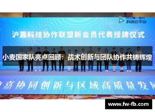 小麦国家队亮点回顾:战术创新与团队协作共铸辉煌 小麦国家队亮点回顾:战术创新与团队协作共铸辉煌