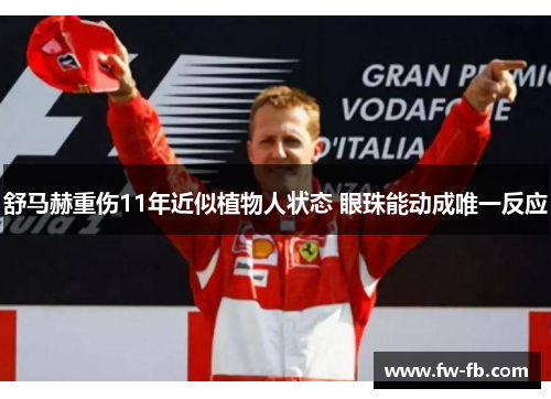舒马赫重伤11年近似植物人状态 眼珠能动成唯一反应