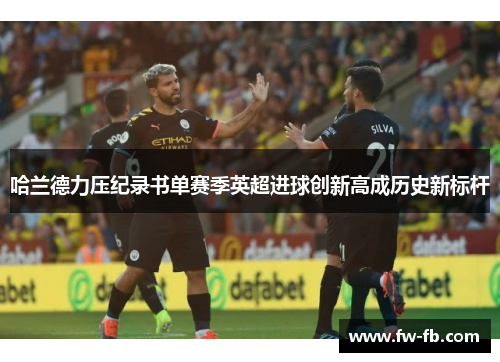哈兰德力压纪录书单赛季英超进球创新高成历史新标杆 哈兰德力压纪录书单赛季英超进球创新高成历史新标杆